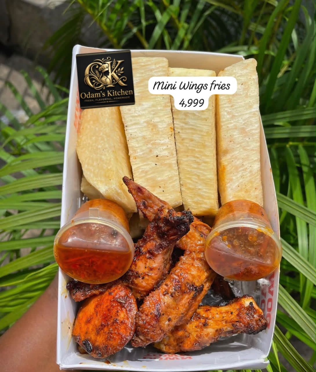 Wings fries